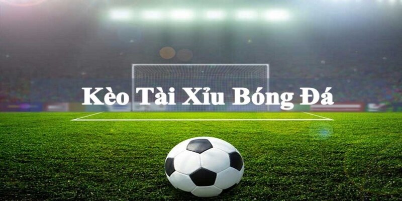 Kèo tài xỉu 2.5 trái là gì trong bóng đá có tỷ lệ ăn thưởng cực cao 